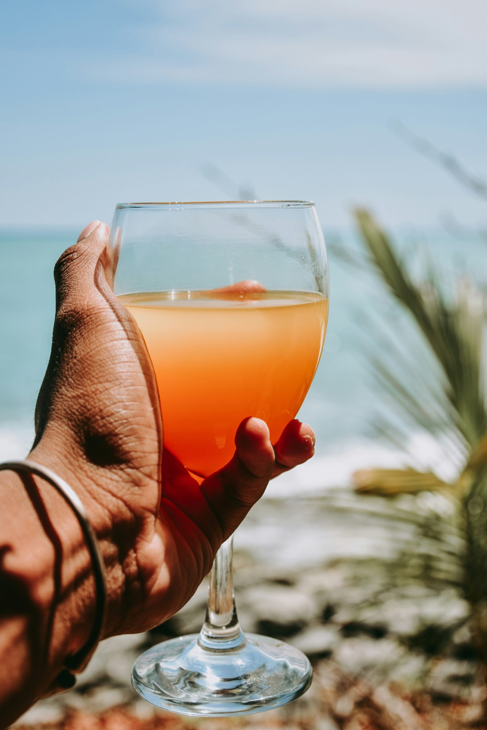 sandy-ravaloniaina-6wroVwSyFG0-unsplash